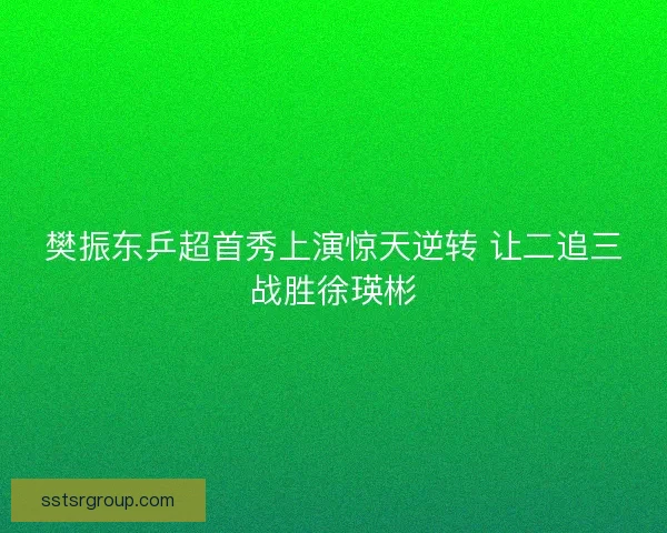 樊振东乒超首秀上演惊天逆转 让二追三战胜徐瑛彬